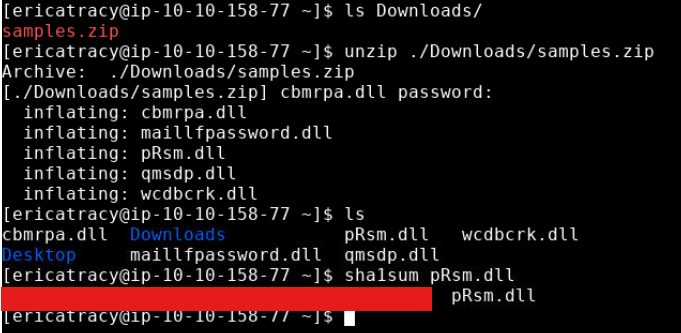 Tryhackme Friday Overtime calculating malware's SHA1 hash in terminal